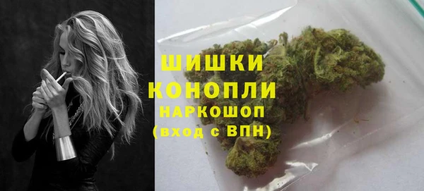 крисы Богородск
