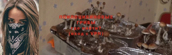 jwh Богородицк