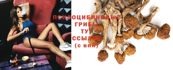 jwh Богородицк