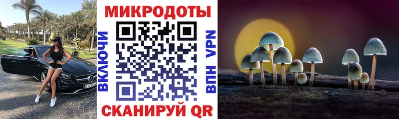 Галлюциногенные грибы Cubensis  Елизаветинская 